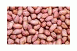 出售，东北王通米，