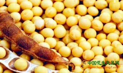 QQ截图20170512083759