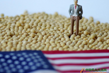 美国大豆的优势在哪里？ ()