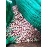 大量出售天府三油料米通货