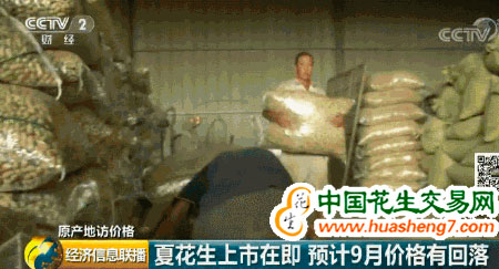 图片5