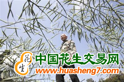 图片 8