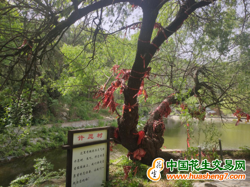 图片 12