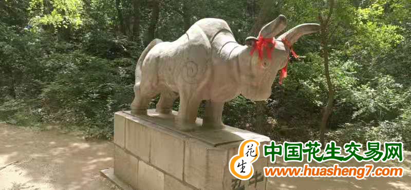 图片 16