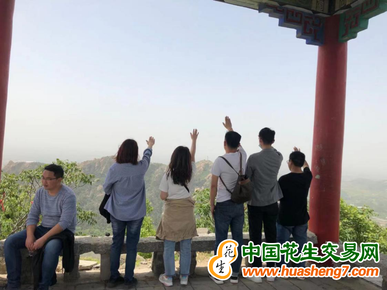 图片 19