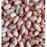 41吨。大颗粒白沙通货地膜米