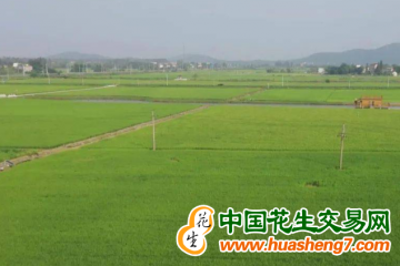 安徽：新建200万亩高标准农田 ()