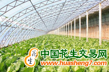 江苏苏州：370个绿色蔬菜保供基地全部入库 ()