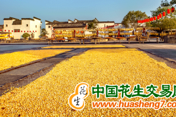 云南昆明：粮食生产连续5年丰产增产 ()