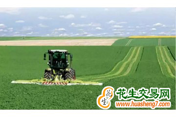 山西：2022年粮食增产8亿斤 ()
