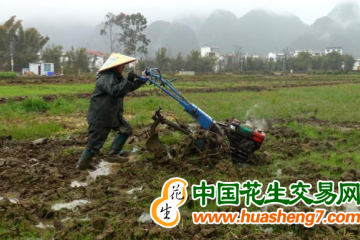 云南马龙：做好春耕备耕“水文章” ()