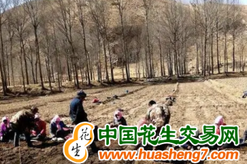 青海民和：全力保障春耕备耕生产 ()
