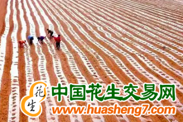 河南长垣市：抢抓农时，打好春耕第一仗 ()