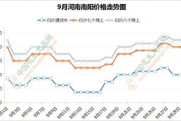 新季花生陆续上市   价格高位运行 ()
