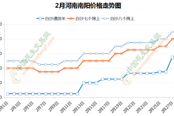 持货商惜售 花生价格继续上涨 ()