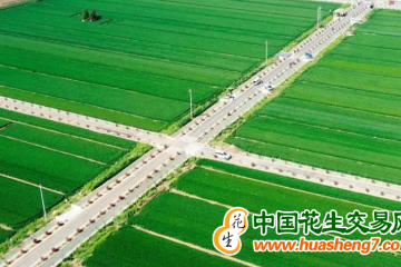 河北：计划改造提升1311万亩高标准农田 ()