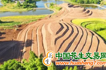 重庆丰都：今年计划完成8万亩高标准农田改造提升 ()