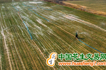 山西：全面推进乡村振兴 ()
