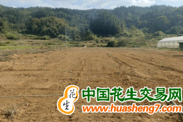 广西罗城：完成耕地恢复治理1.27万亩 ()