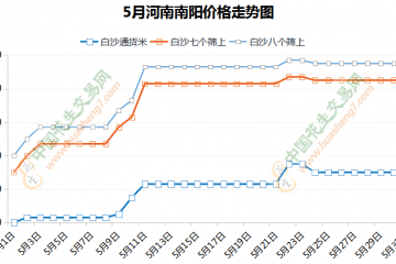 花生涨势如潮 后市能否持续? ()