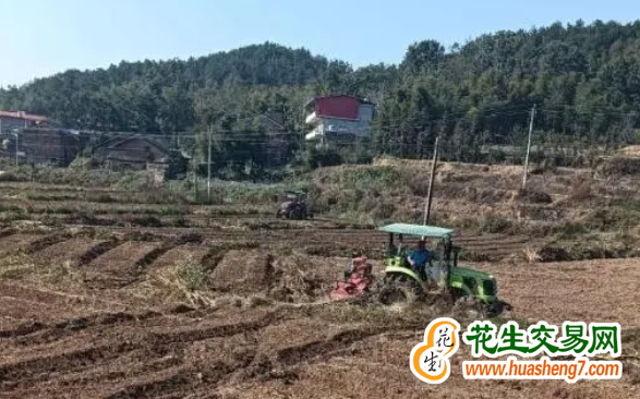 湖北：秋播油菜超1900万亩创新高 ()