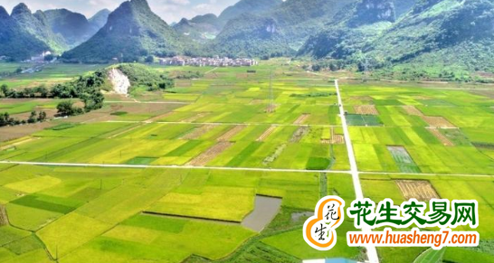 广西宁明：守稳耕地红线兜牢“粮袋子” ()