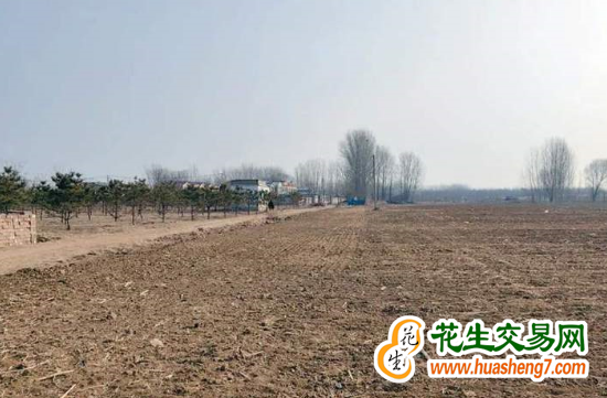 北京顺义：粮田增产丰收 ()